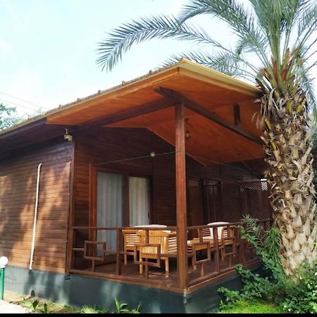 Olympos Yavuz Hotel Çıralı Esterno foto