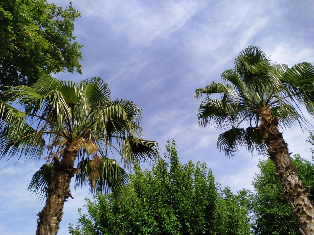 Olympos Yavuz Hotel Çıralı Esterno foto