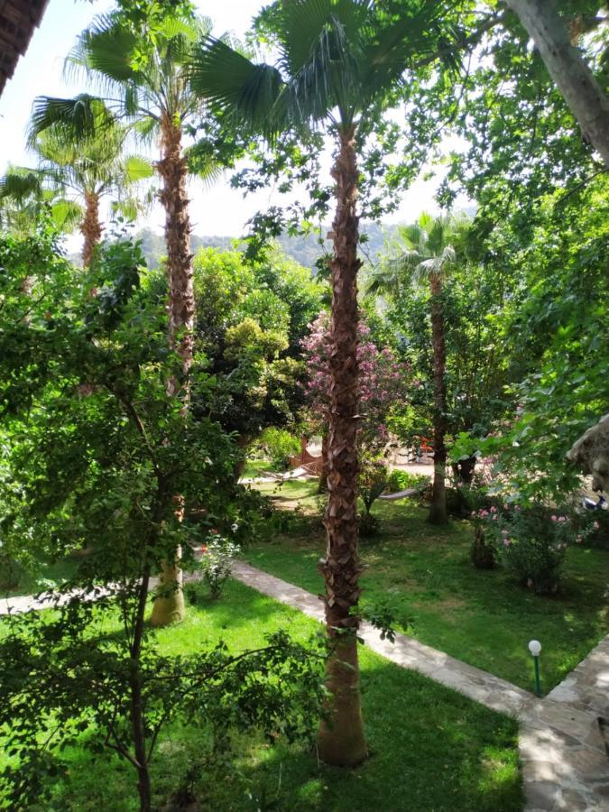 Olympos Yavuz Hotel Çıralı Esterno foto