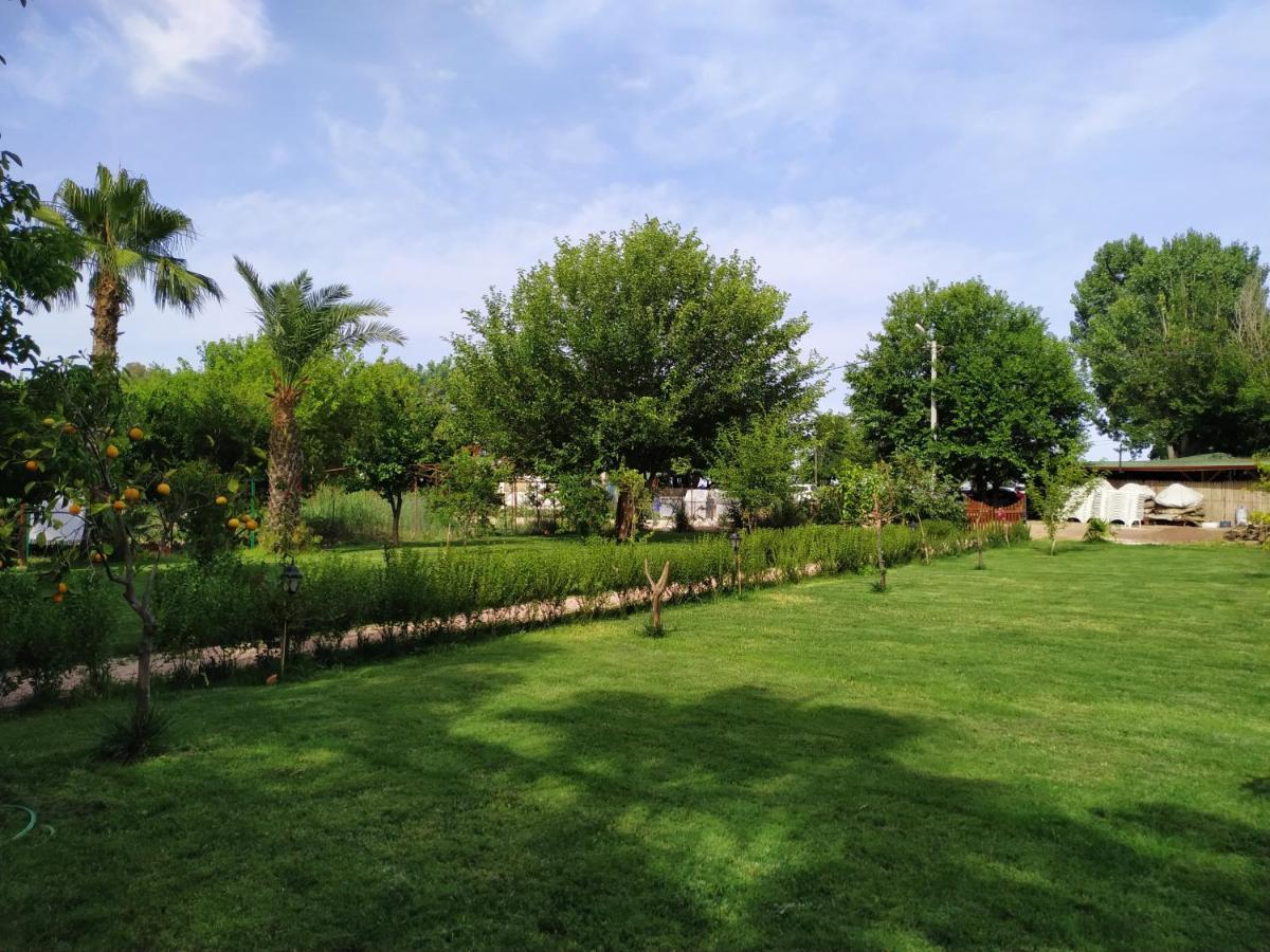 Olympos Yavuz Hotel Çıralı Esterno foto