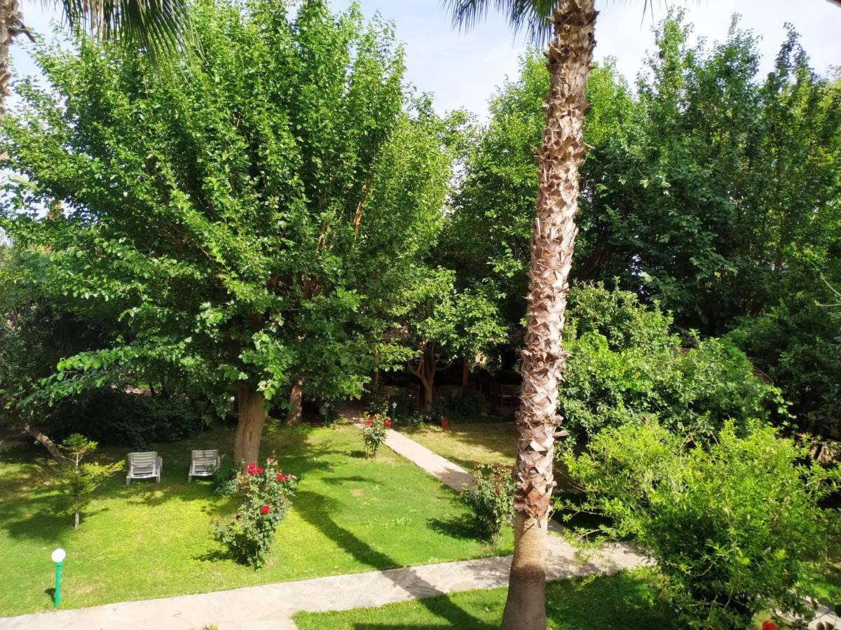 Olympos Yavuz Hotel Çıralı Esterno foto