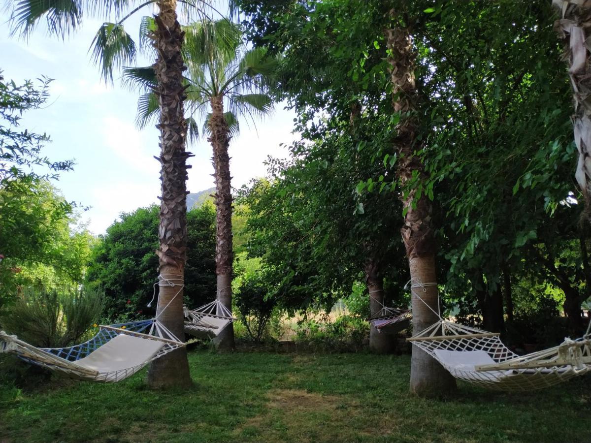 Olympos Yavuz Hotel Çıralı Esterno foto