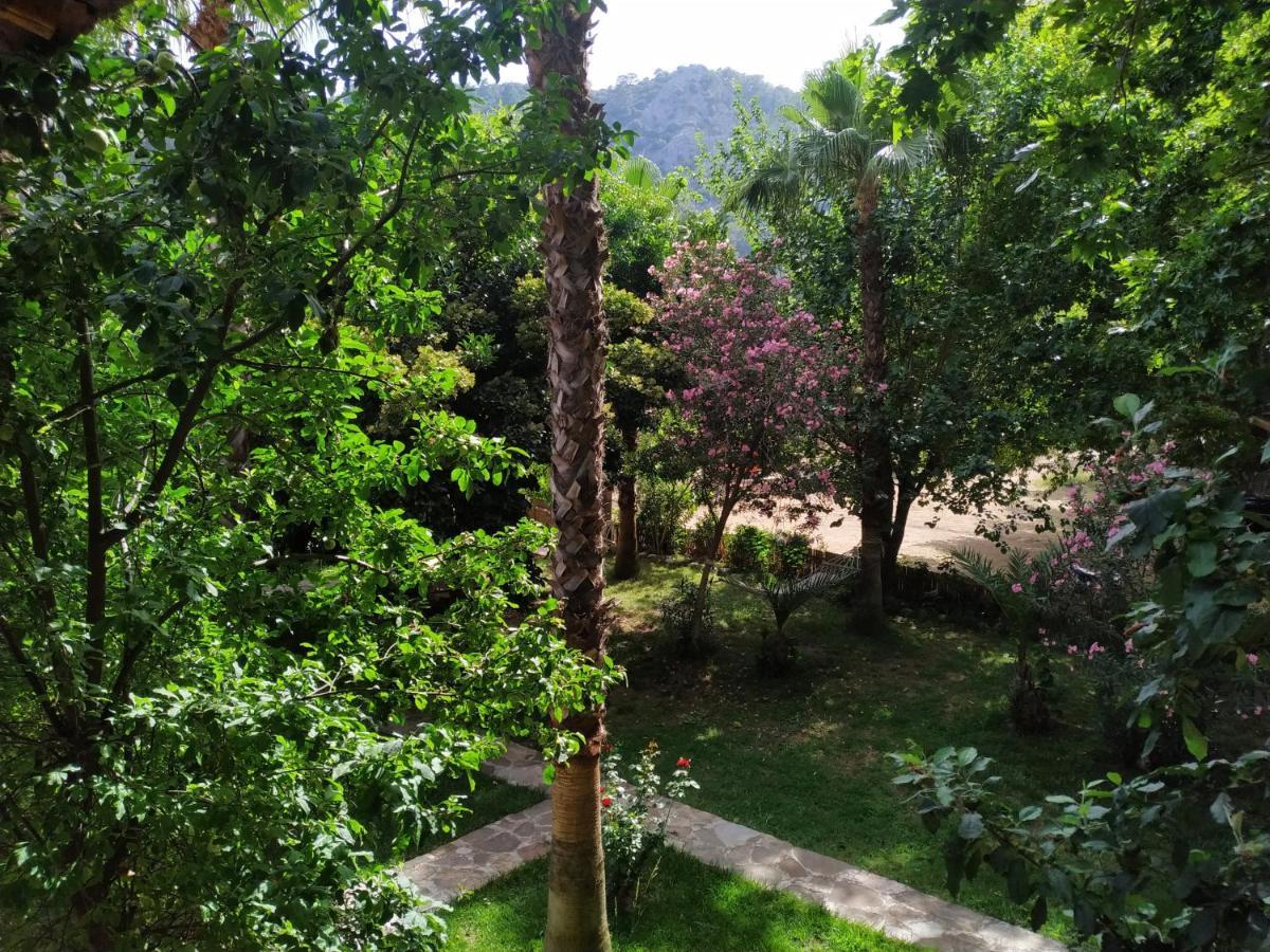 Olympos Yavuz Hotel Çıralı Esterno foto