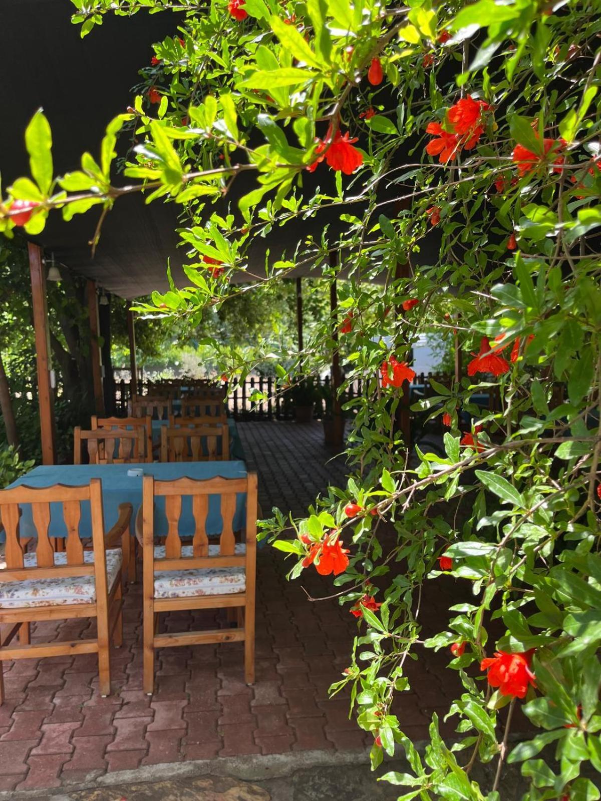 Olympos Yavuz Hotel Çıralı Esterno foto